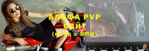 ПСИЛОЦИБИНОВЫЕ ГРИБЫ Белоозёрский