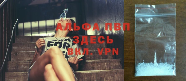 ПСИЛОЦИБИНОВЫЕ ГРИБЫ Белоозёрский