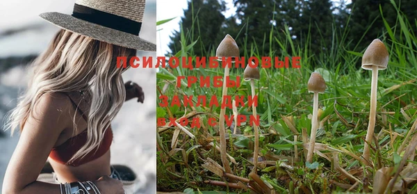 ALPHA PVP Беломорск