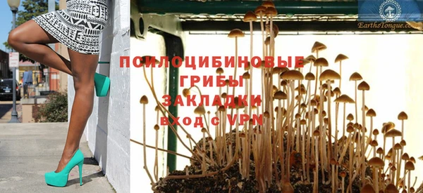 молекула духа Баксан