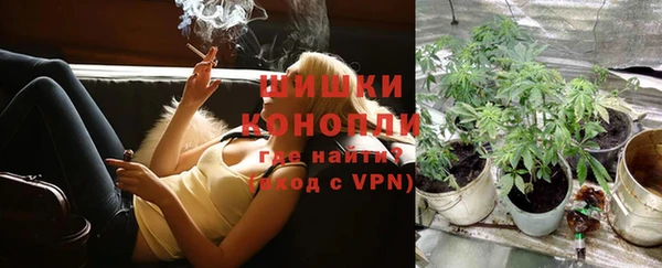ALPHA PVP Беломорск